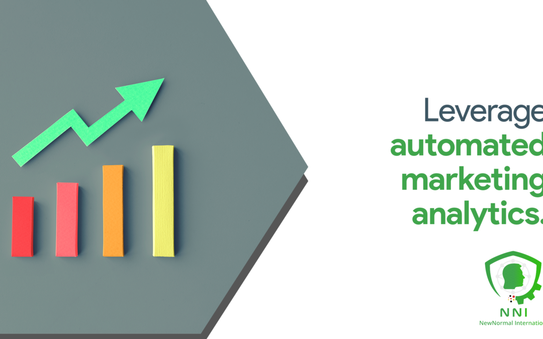 Automated Marketing Analytics