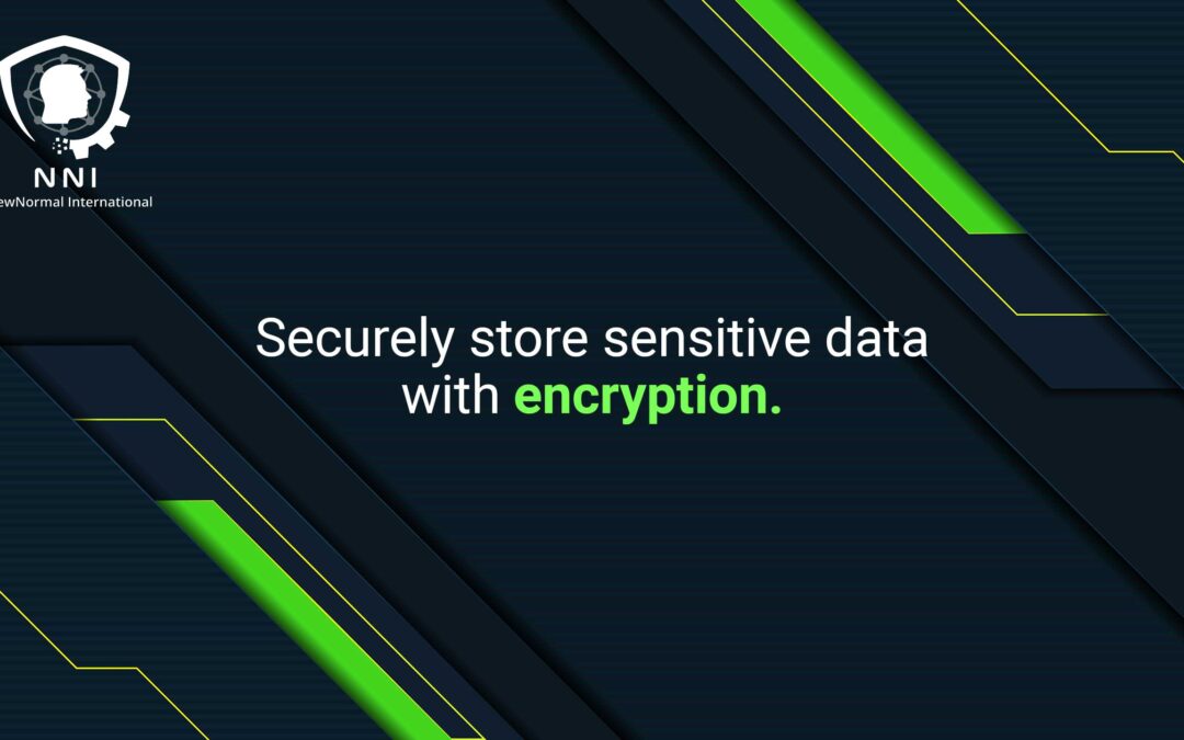 Securely store sensitive data with encryption: A Business Necessity