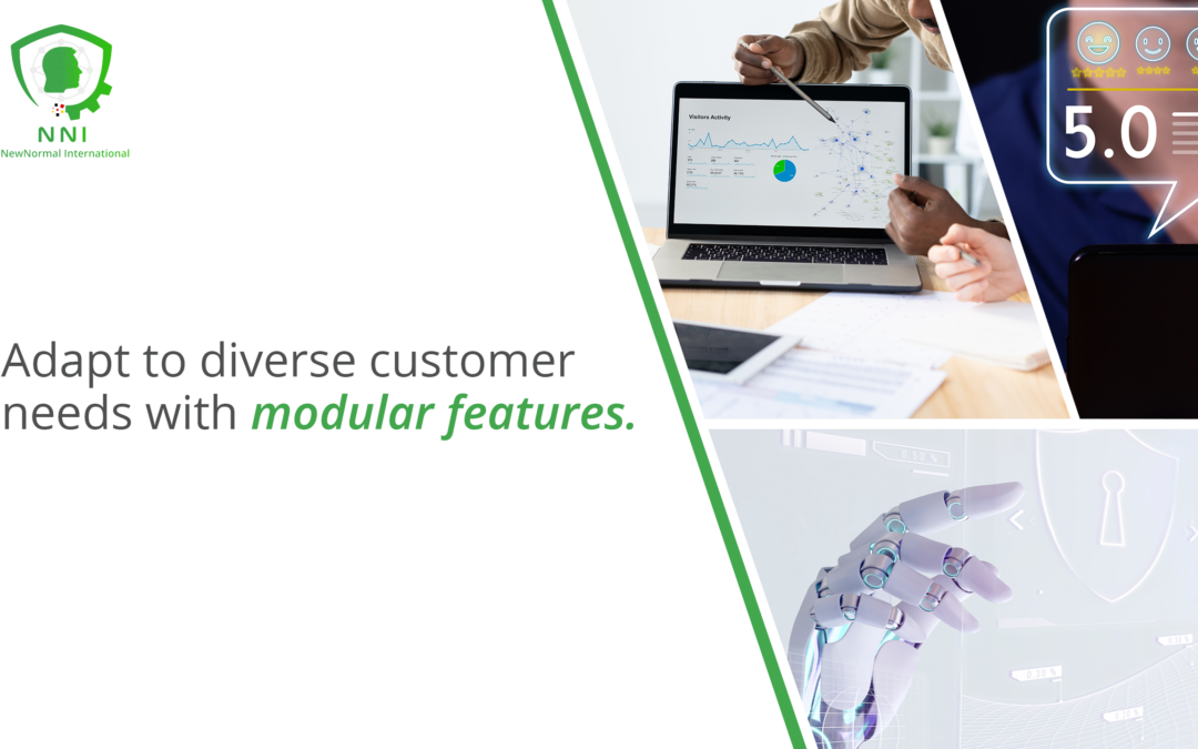 Adapt to Diverse Customer Needs with Modular Features: A Strategic Business Approach